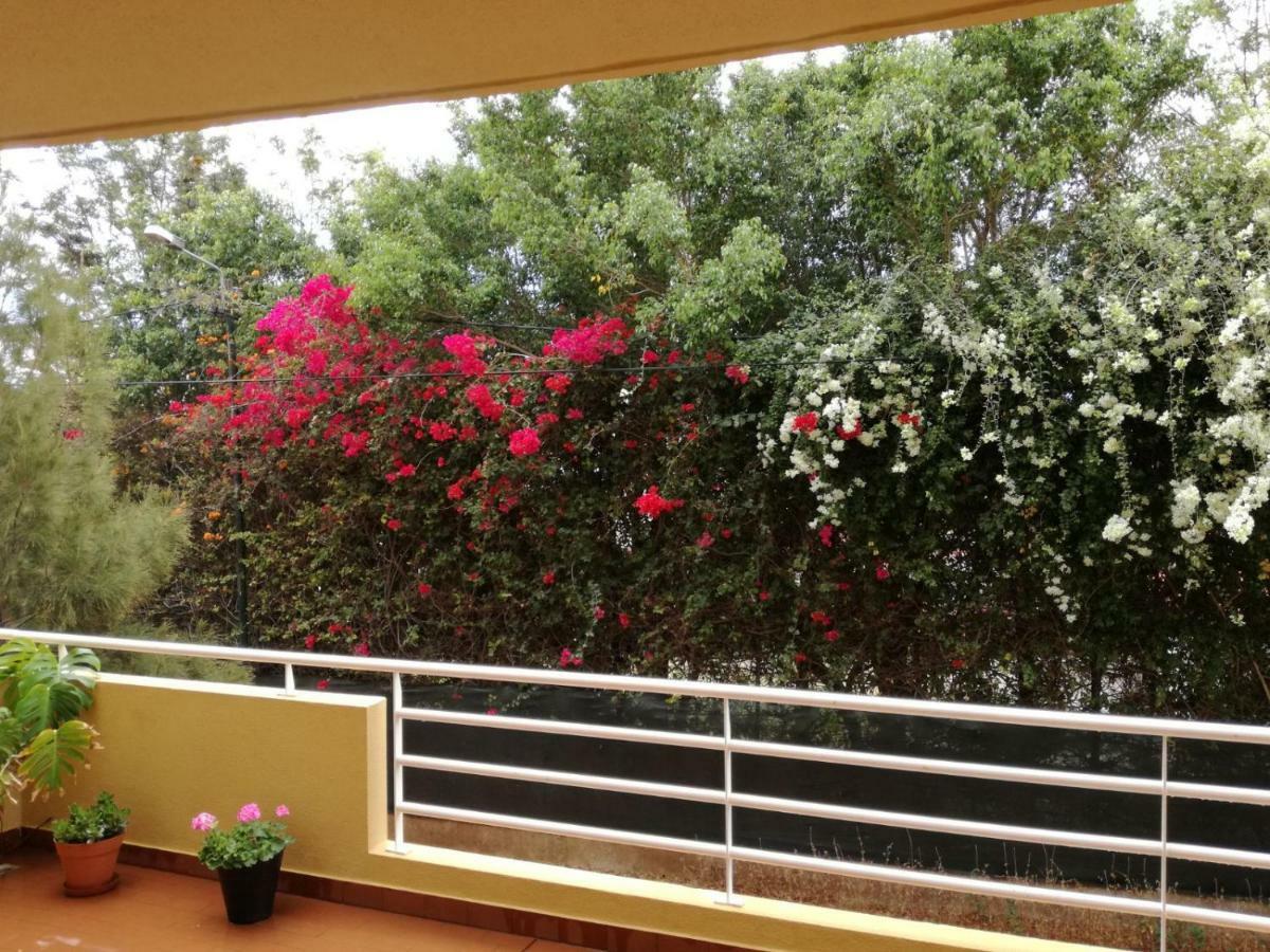 Refugio Madeira Apartment Canico  Exterior photo
